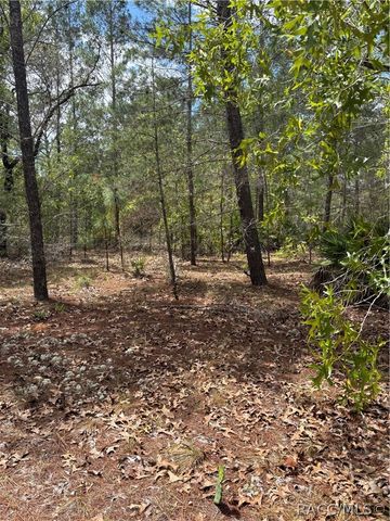 6520 N Redmond Court, Dunnellon, FL 34433