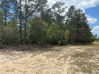 6520 N Redmond Court, Dunnellon, FL 34433