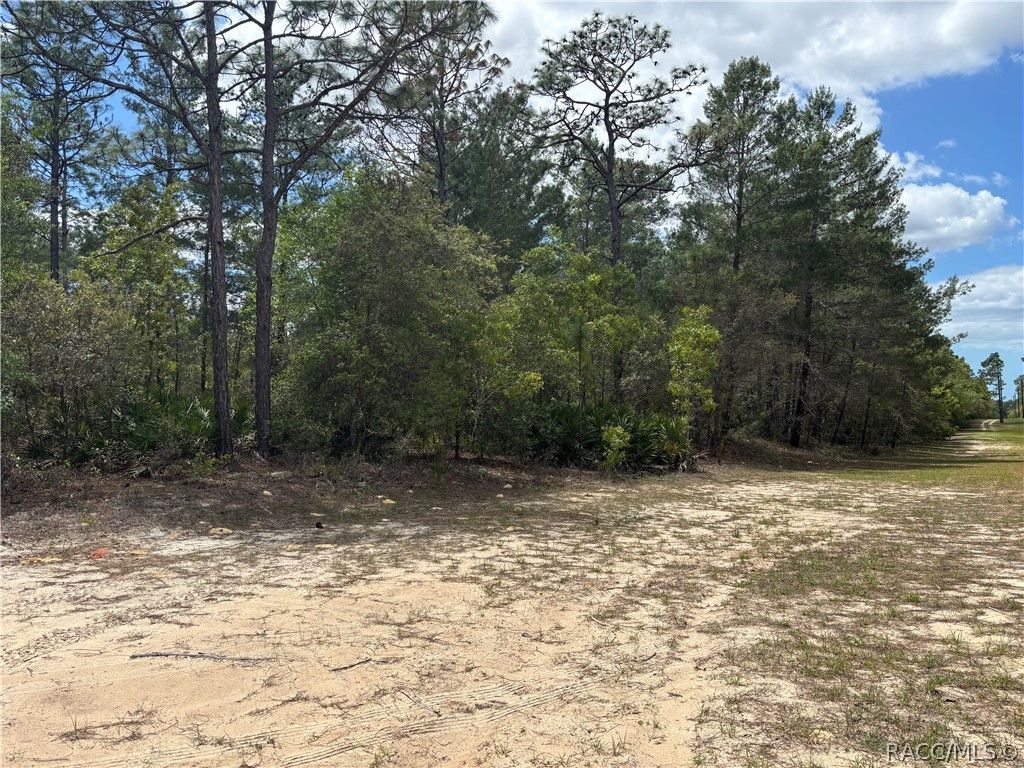 6520 N Redmond Court, Dunnellon, FL 34433