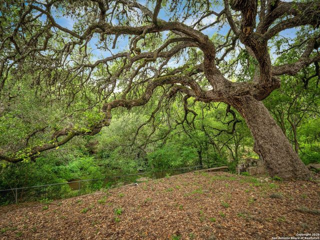 18111 Lake Shore, Helotes, TX 78023
