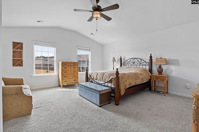 312 Throne Court, Chapin, SC 29036