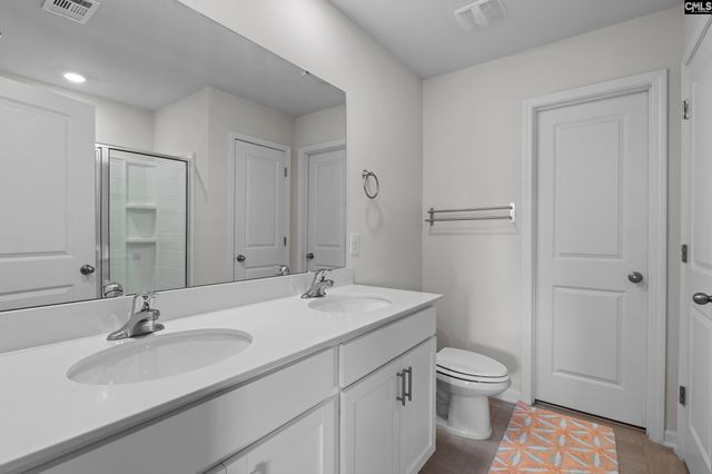 312 Throne Court, Chapin, SC 29036