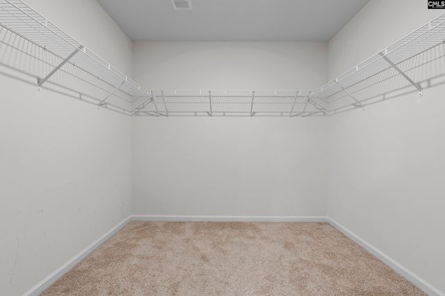 312 Throne Court, Chapin, SC 29036