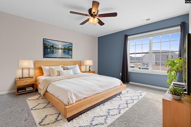 312 Throne Court, Chapin, SC 29036