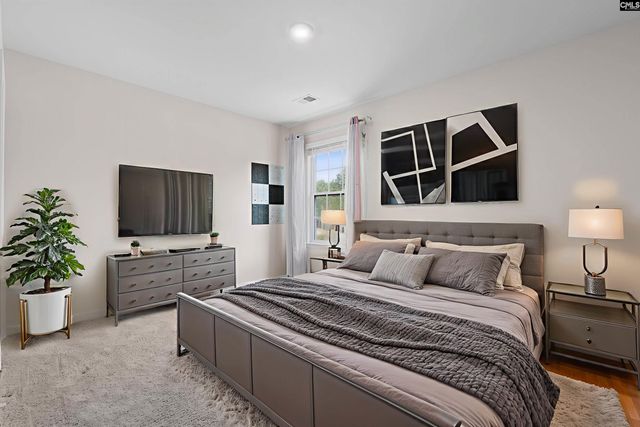 312 Throne Court, Chapin, SC 29036