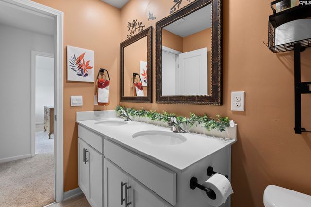 312 Throne Court, Chapin, SC 29036