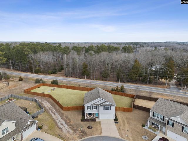 312 Throne Court, Chapin, SC 29036