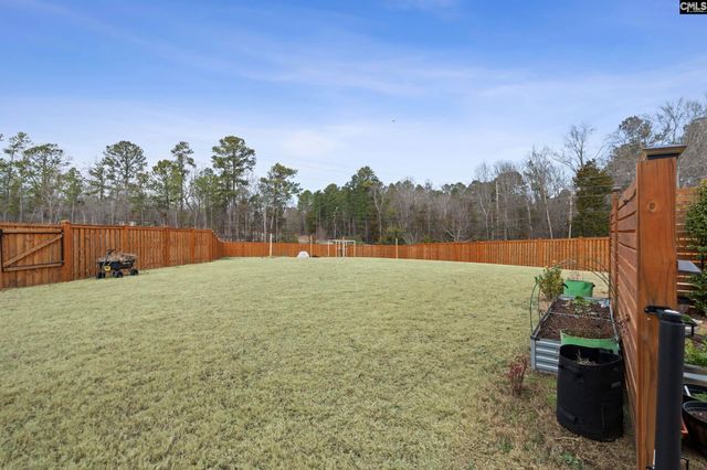 312 Throne Court, Chapin, SC 29036