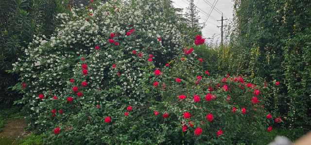 4701 Pennsylvania Ave, Fair Oaks, CA 95628