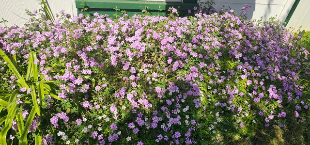 4701 Pennsylvania Ave, Fair Oaks, CA 95628