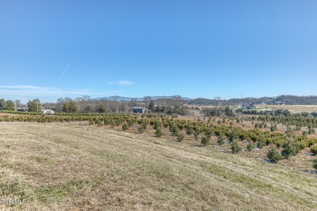 1381 Orchard View Lane, Piney Flats, TN 37686