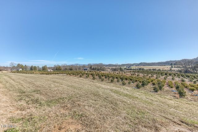1381 Orchard View Lane, Piney Flats, TN 37686