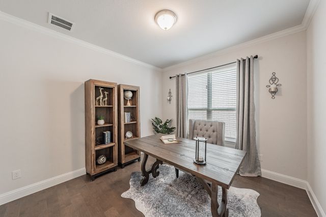 17226 Texas Pistache Drive, Dallas, TX 75252