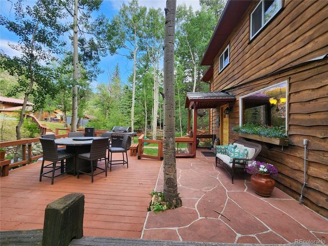 731 Mill Creek Rd, Dumont, CO 80436