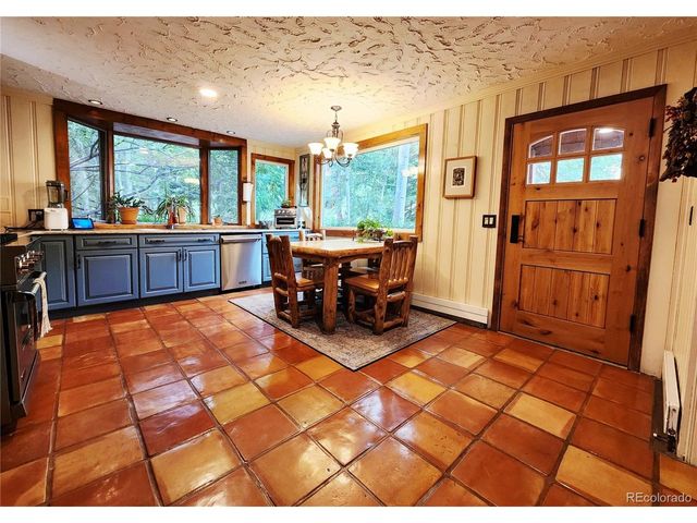 731 Mill Creek Rd, Dumont, CO 80436