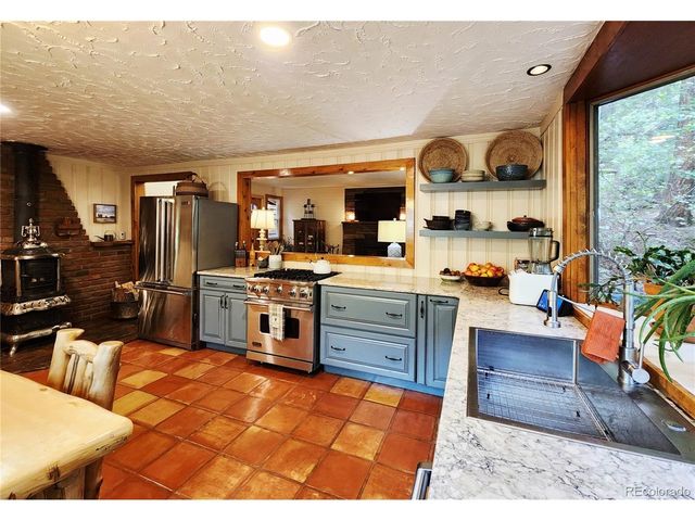 731 Mill Creek Rd, Dumont, CO 80436
