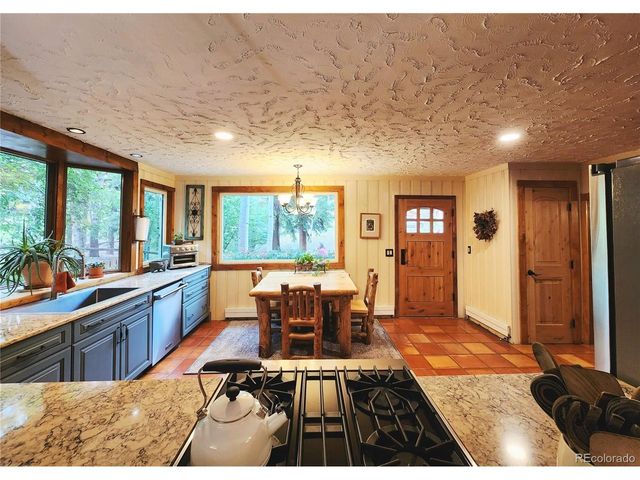 731 Mill Creek Rd, Dumont, CO 80436
