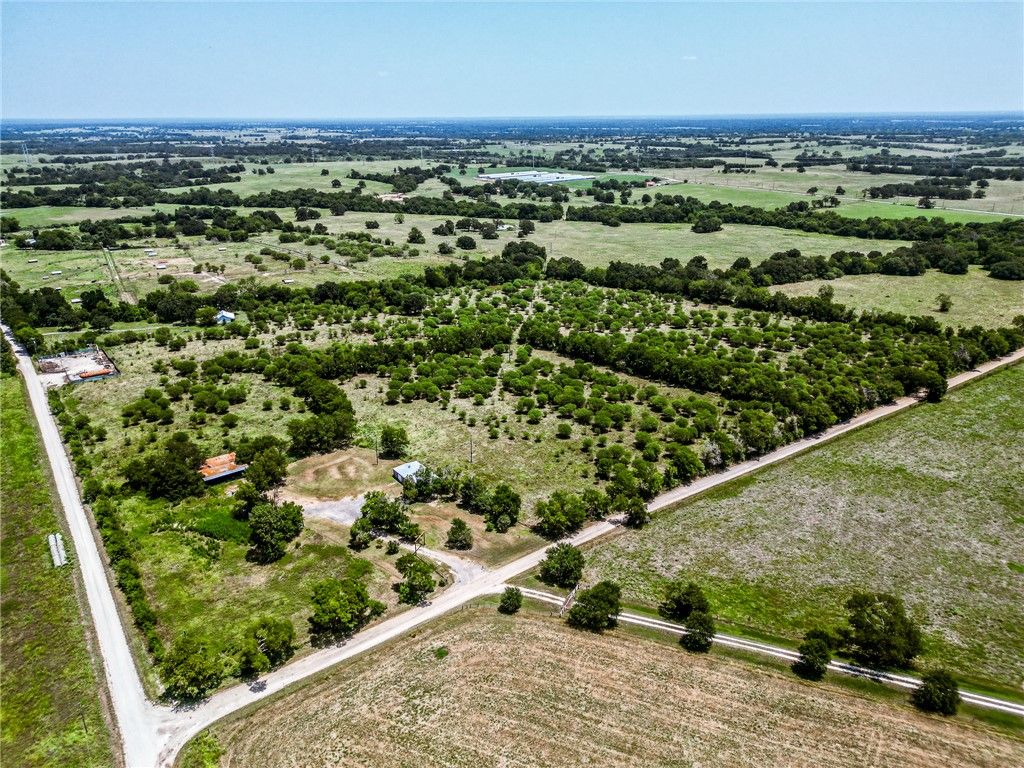 12224 Jinkins Road E, North Zulch, TX 77872 — photo 2
