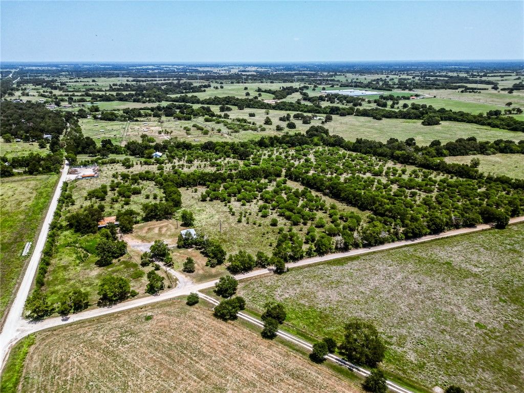 12224 Jinkins Road E, North Zulch, TX 77872 — photo 3