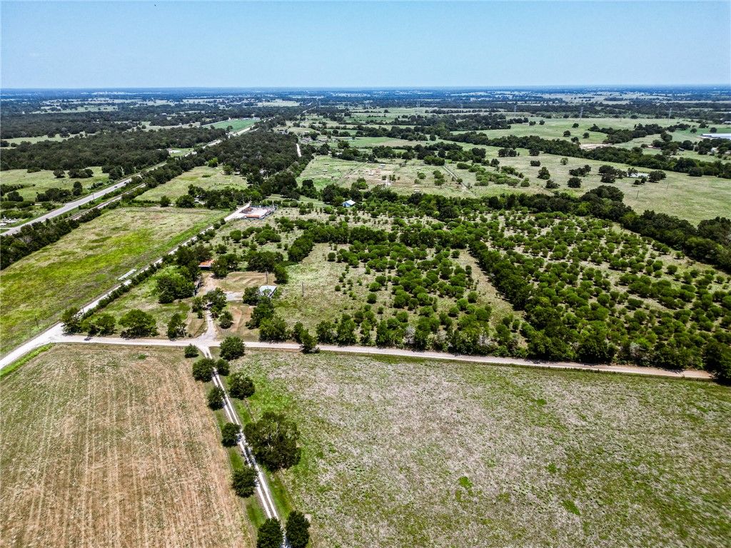 12224 Jinkins Road E, North Zulch, TX 77872 — photo 4