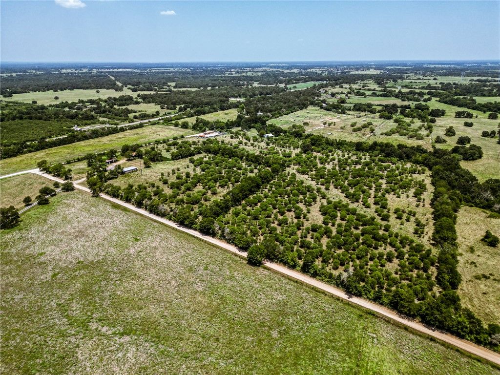 12224 Jinkins Road E, North Zulch, TX 77872 — photo 5