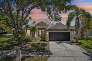19113 GOLDEN CACOON PLACE, Lutz, FL 33558