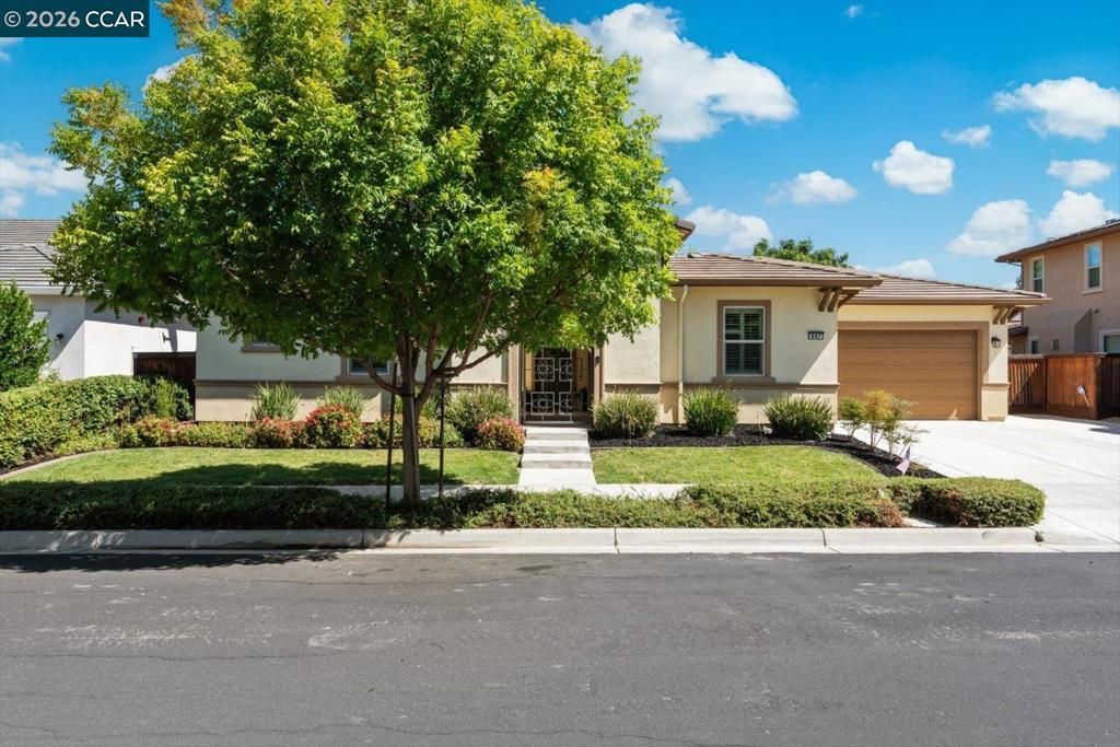 Image 2 of property listing at 447 Avondale Ct, Brentwood, CA 94513
