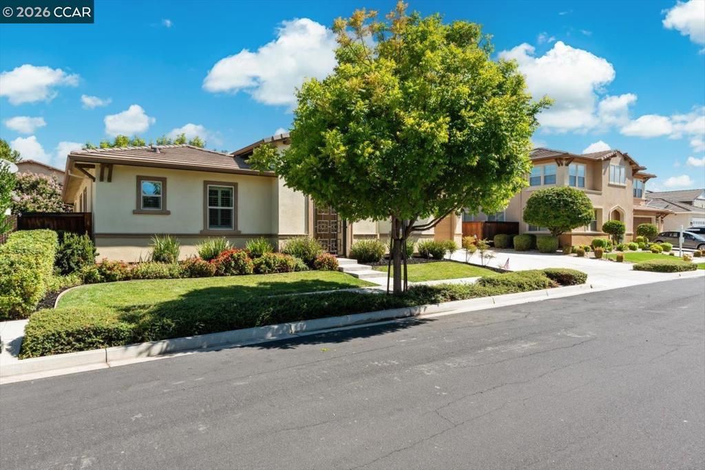 Image 4 of property listing at 447 Avondale Ct, Brentwood, CA 94513