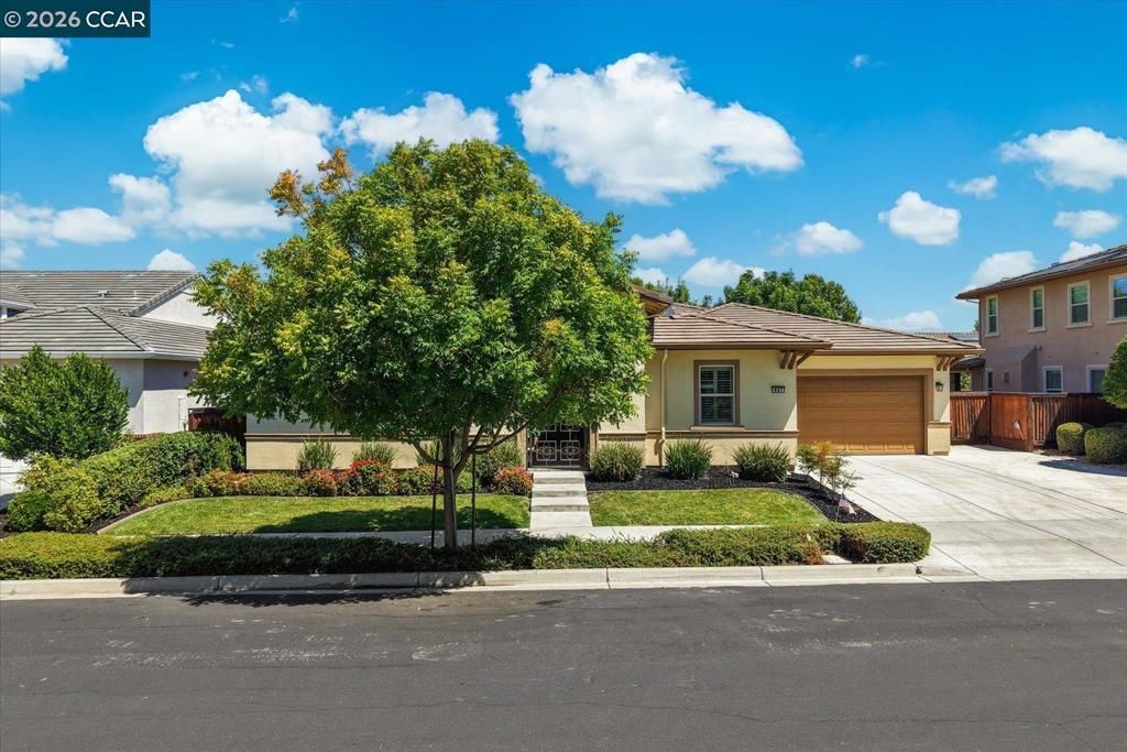 Image 68 of property listing at 447 Avondale Ct, Brentwood, CA 94513