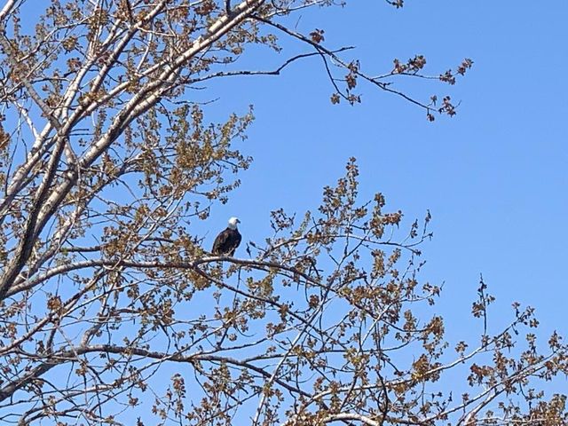 2769 Lakeshore Road, Sanilac Twp, MI 48401