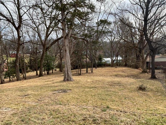 W 165 College ST, Rocky Mount, VA 24151