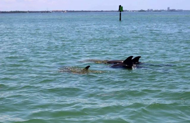 2 CAUSEWAY BOULEVARD 101, Dunedin, FL 34698