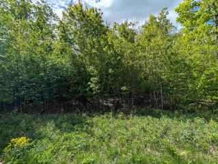 Lot 10 ACORN RIDGE ESTATES SUBDIVISION, Mosinee, WI 54455