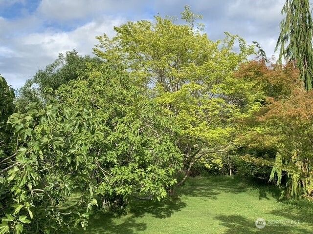 3216 Bennett Drive, Bellingham, WA 98225