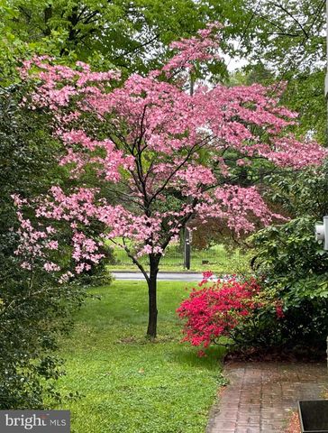 318 N PRESIDENT AVE, Lancaster, PA 17603