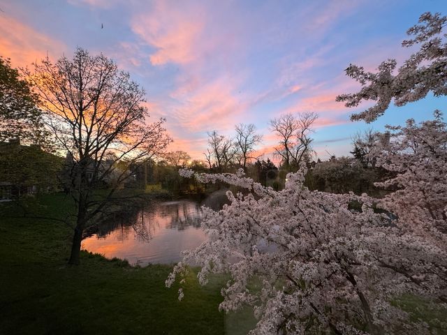 897 Longmeadow Court 1044, Lake Barrington, IL 60010