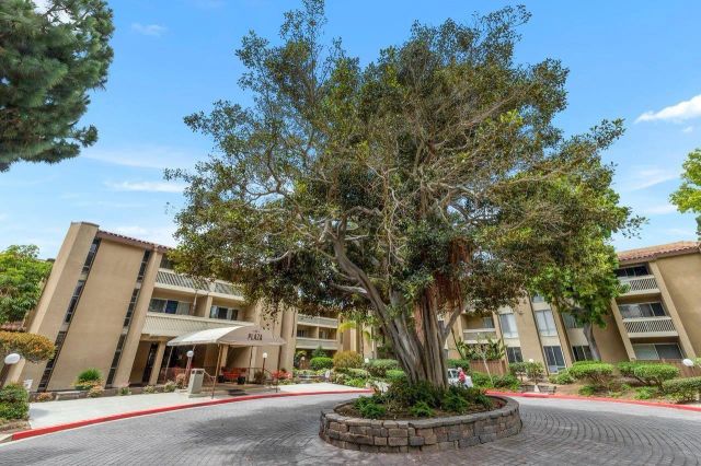 1855 Diamond 5-230, San Diego, CA 92109
