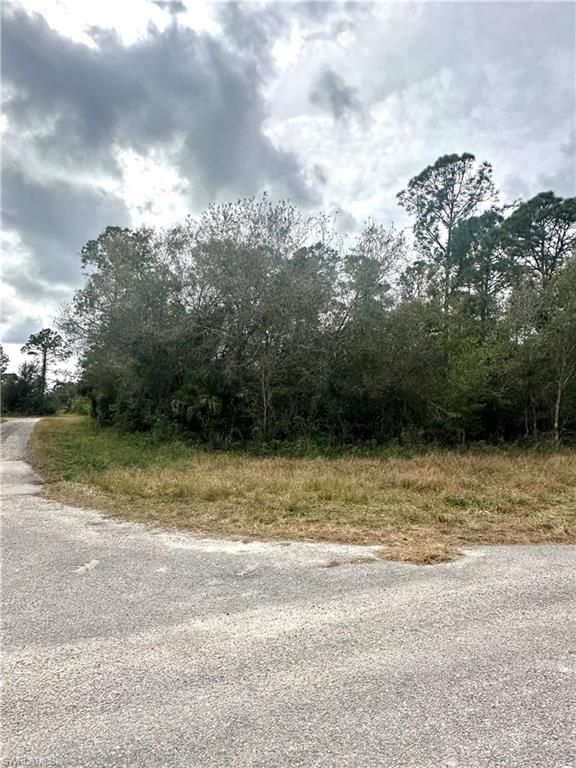 1226 Sunrise BLVD, LEHIGH ACRES, FL 33974 — photo 3