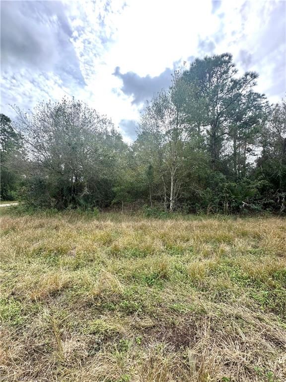 1226 Sunrise BLVD, LEHIGH ACRES, FL 33974 — photo 4