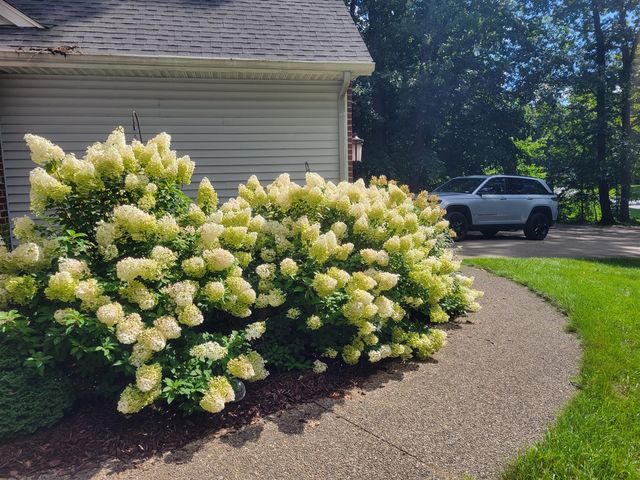 11410 Windsor Drive, Sparta, MI 49345