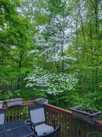 11410 Windsor Drive, Sparta, MI 49345