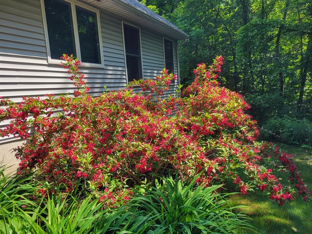 11410 Windsor Drive, Sparta, MI 49345