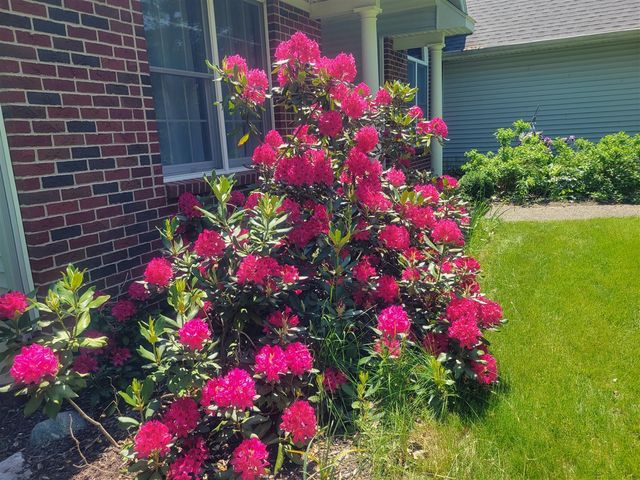 11410 Windsor Drive, Sparta, MI 49345