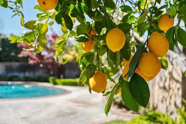 2725 Morley Way, Sacramento, CA 95864