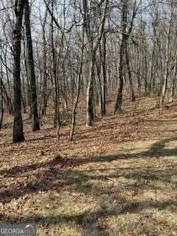 0 Burnt Mountain Ridge Road, Jasper, GA 30143