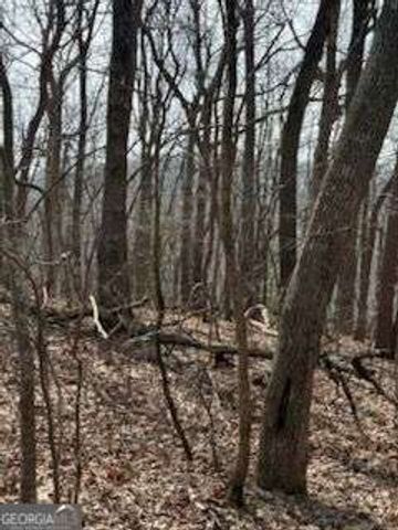 0 Burnt Mountain Ridge Road, Jasper, GA 30143