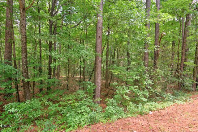 0000 Dodsons Crossroads, Hillsborough, NC 27278