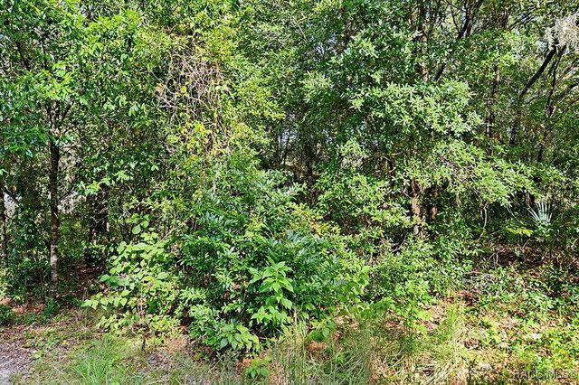 916 Tulane Terrace, Inverness, FL 34450