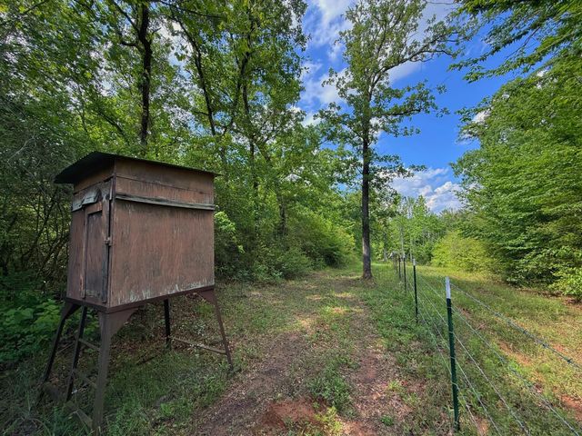 3699 Cr 114, Centerville, TX 75833