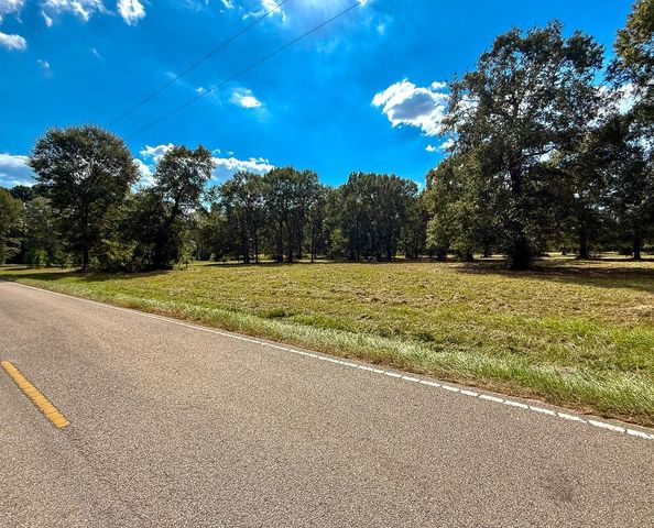 0 Mount Zion Road, New Waverly, TX 77358